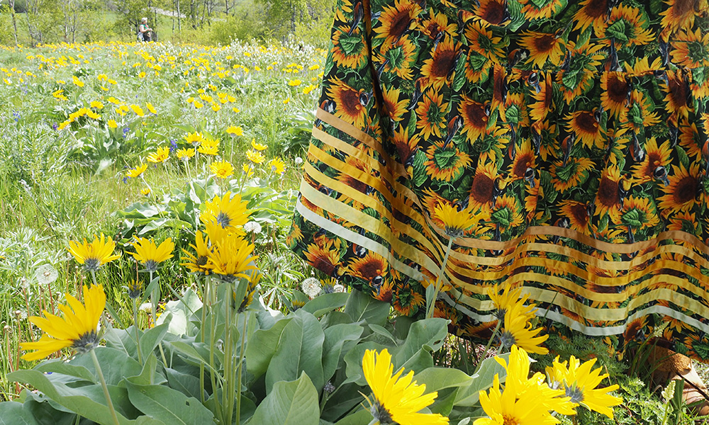 A woman wearing a ribbon skirt she created, in a field filled with balsam root sunflowers in Secwepemcúl’ecw.